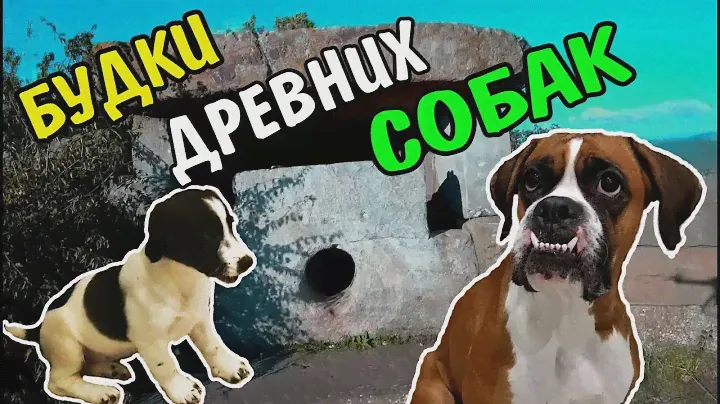 GOOD DOG КАМЕННЫЕ БУДКИ ДРЕВНИХ СОБАК