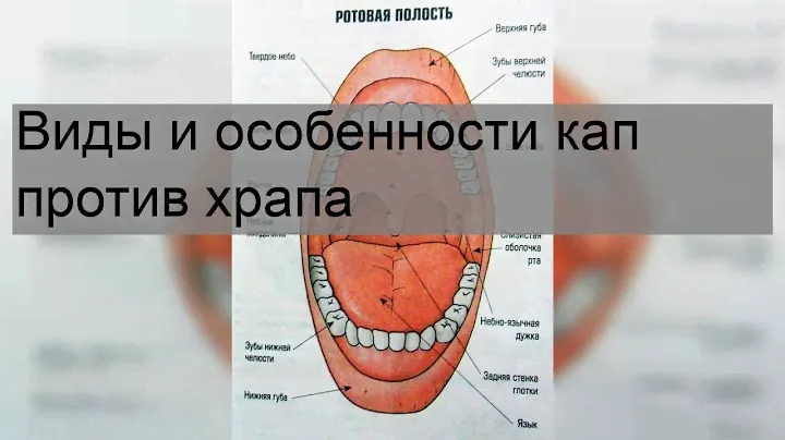 Виды и особенности кап против храпа