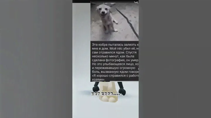 хороший друг...